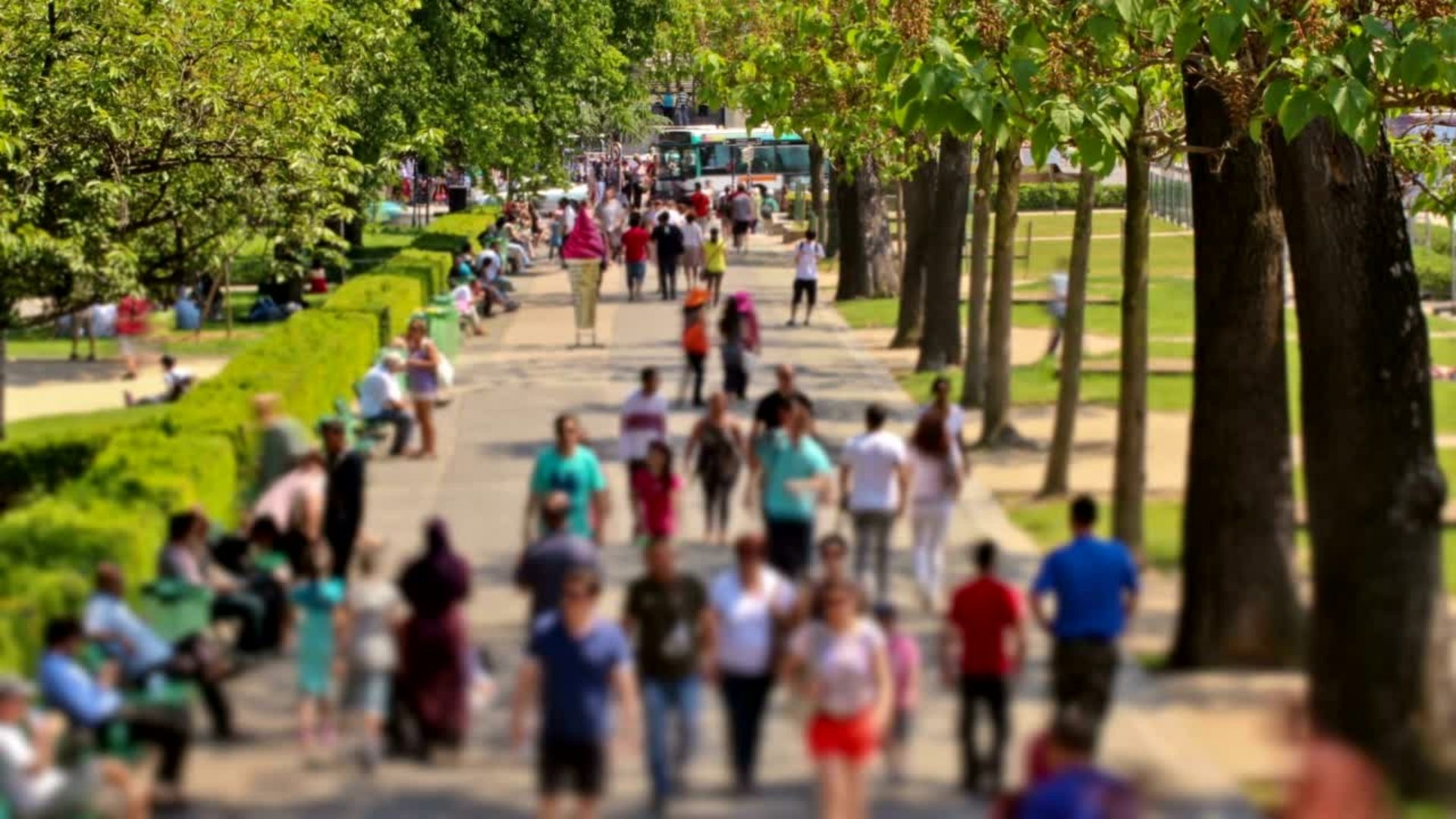 Κοινωνικοποίηση του ανθρώπου-πολίτη μέσω της Τέχνης: Εργαστήρια Καλλιτεχνικής Παιδείας και Εικαστικής Αγωγής