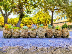 ergastiria400ores 01 1