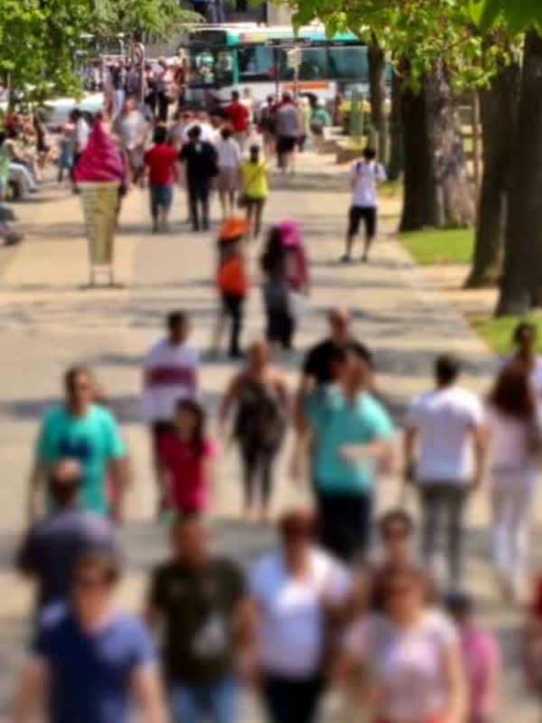 Κοινωνικοποίηση του ανθρώπου-πολίτη μέσω της Τέχνης: Εργαστήρια Καλλιτεχνικής Παιδείας και Εικαστικής Αγωγής